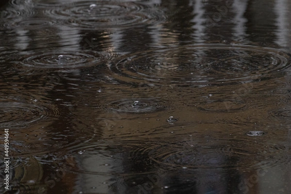 Obraz rain drops on the window