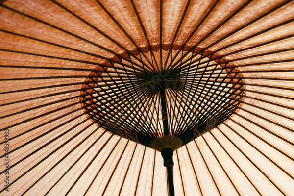 Fototapeta 画面一杯に撮影した和傘