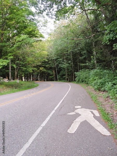 Obraz Pedestrian symbol on road through forest