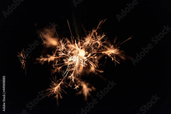 Fototapeta 線香花火