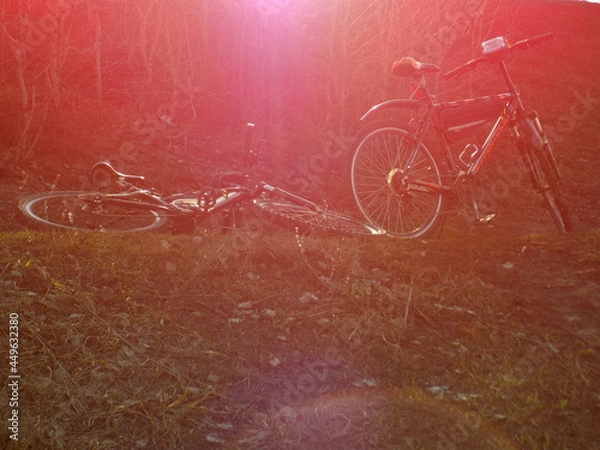 Obraz  Red sun glare