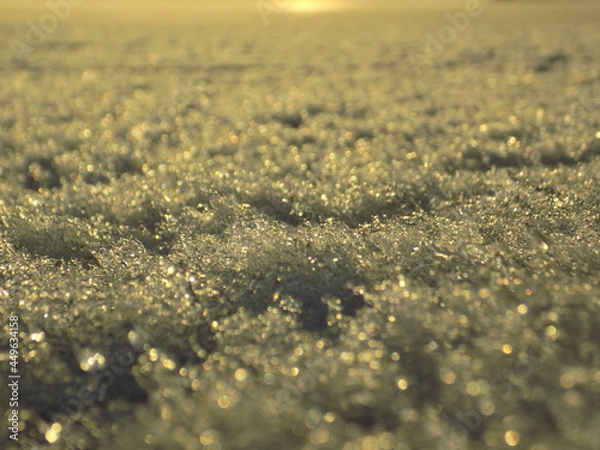 Obraz Spring in my soul