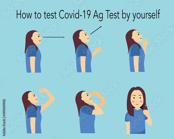 Fototapeta Picture show how to use covid-19 Ag test by yourself.vector illustrated 