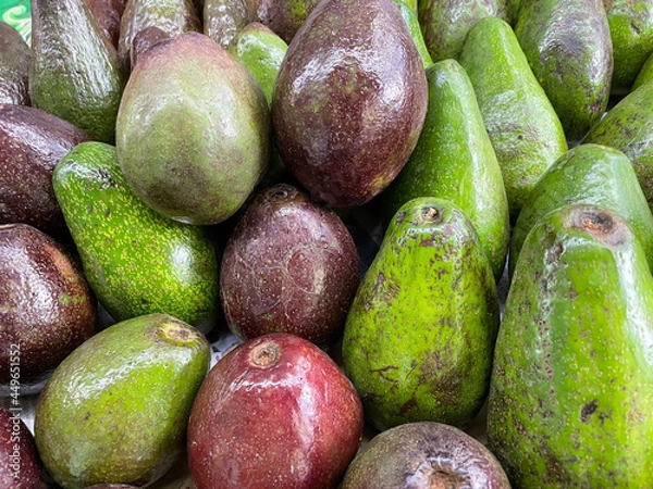 Obraz Fresh fruit avocados can be used in both savory and sweet dishes and are also a healthy food.