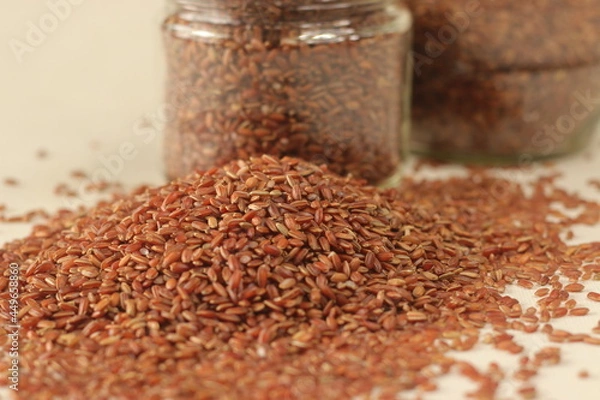 Obraz Navara rice is one of the many types of rice found in India, with a unique red color..