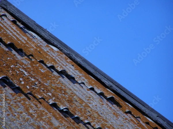 Obraz Оld roof covered with lichen