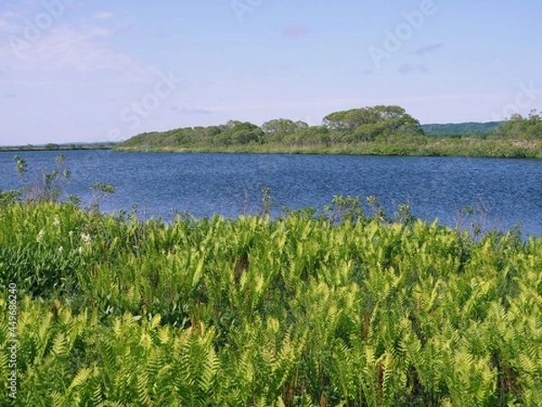 Obraz サロベツ原野