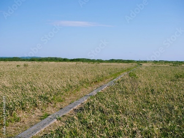 Obraz サロベツ原野