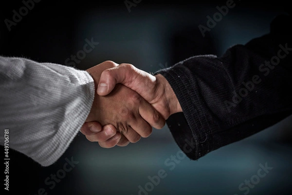 Fototapeta 대결, 유도, 주짓수, 스포츠맨