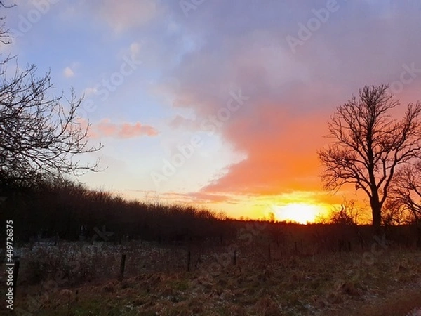 Obraz sunset over the field