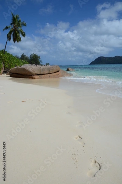 Obraz footsteps on the beach