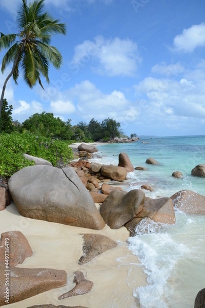 Obraz Seychelles natural beach