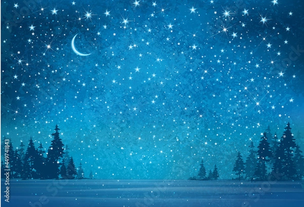 Obraz Vector winter wonderland night background.