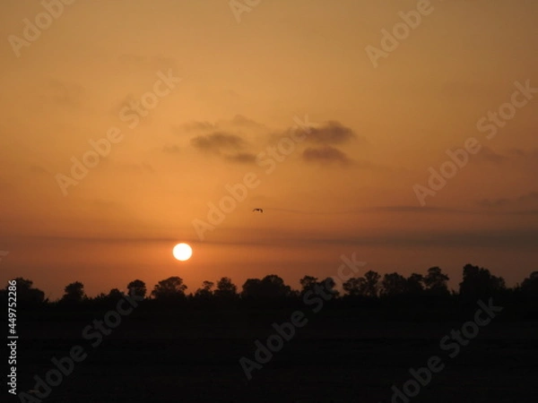 Obraz coucher de soleil