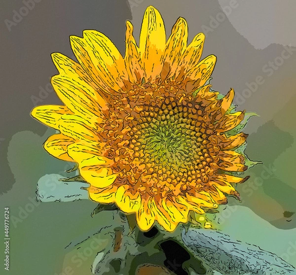 Obraz Stylized Sunflower 
 