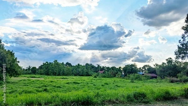 Obraz field and sky