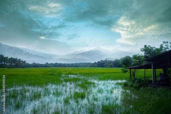 Obraz An old small hut in a grass field, Stripe of forest and mountains between a cloudy sky and green grass field, Village photography.