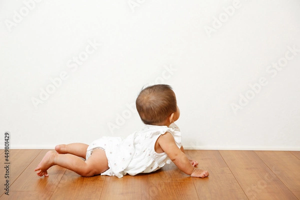Fototapeta まだ０歳児の可愛い女の子。はいはいができるようになった可愛い赤ちゃんの画像です。