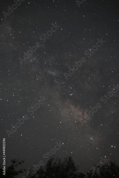 Fototapeta 天の川　星景写真　徳島　佐那河内　大川原高原