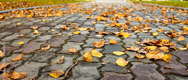 Fototapeta Autumn road