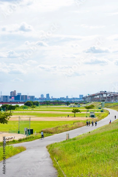 Fototapeta 【東京都】西新井橋緑地野球場・球技場（荒川河川敷）