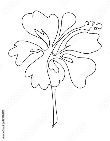 Obraz Flower hibiscus vector illustration outline logo icon design hand drawn 