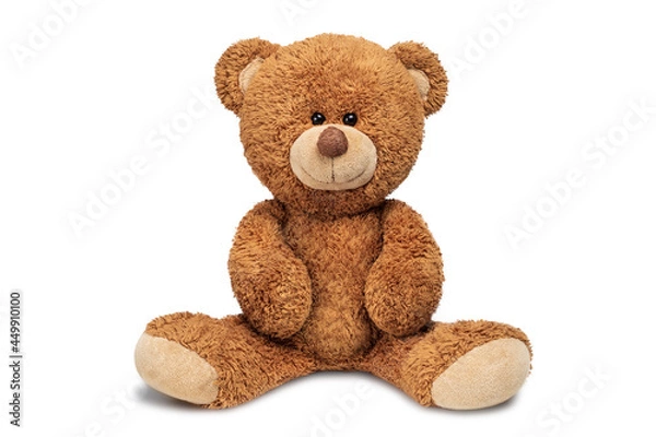 Obraz Cute teddy bear