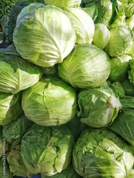 Fototapeta cabbage in the market