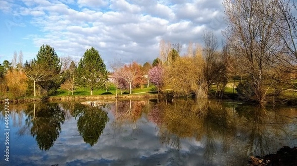 Fototapeta Spring Reflections 