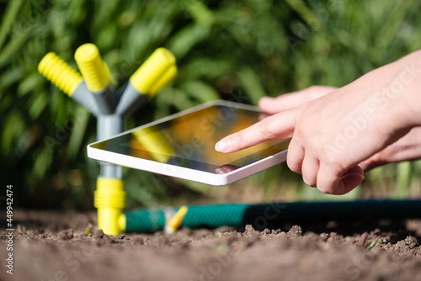 Fototapeta A gardener with a digital tablet using a smart garden application concept. Watering system. Electronic irrigation control.