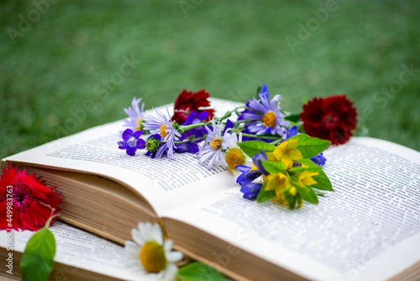 Obraz thick books lie with colored flowers in a clearing