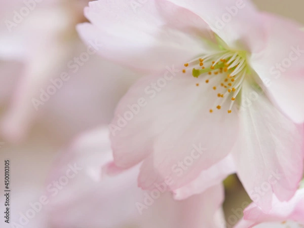 Fototapeta OLYMPUS DIGITAL CAMERA