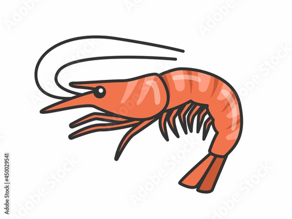 Fototapeta 茹でたエビのイラスト