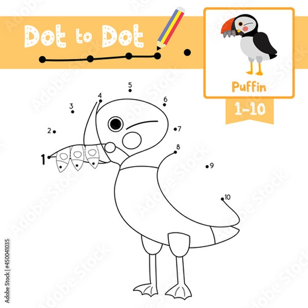 Fototapeta Dot to dot educational game and Coloring book Puffin bird animal cartoon character vector illustration
