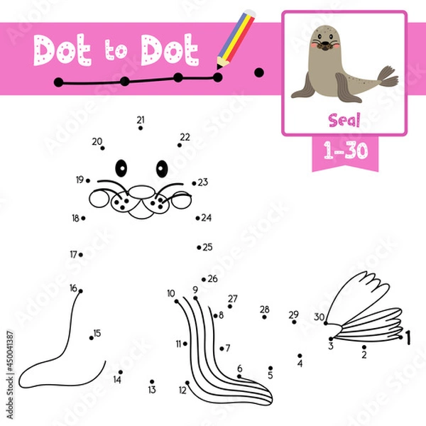 Fototapeta Dot to dot educational game and Coloring book Seal animal cartoon character vector illustration
