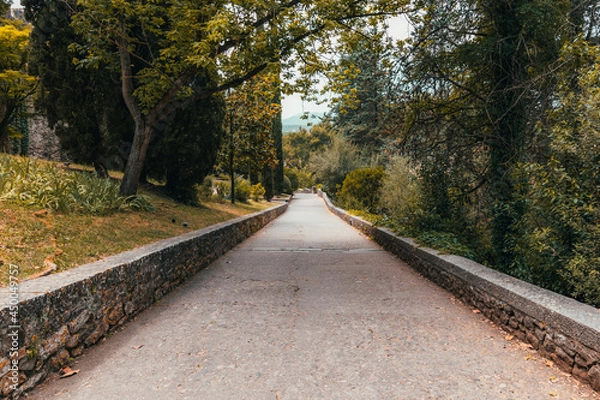 Obraz Park path during day light