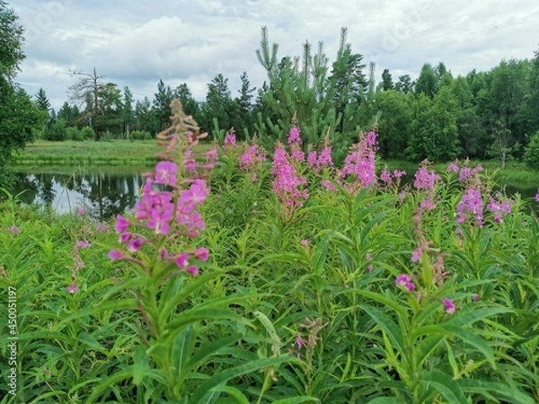 Obraz spring in the park
