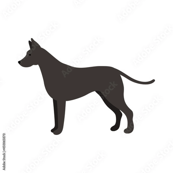 Fototapeta Isolated vector illustration of a Great Dane dog