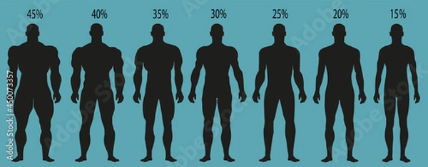 Obraz Man silhouettes with different muscle degrees.