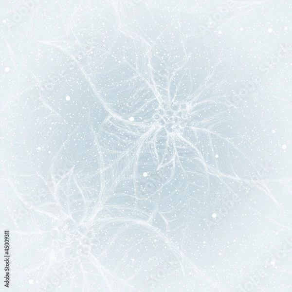 Fototapeta Frost on the window like Flower Poinsettia / Seamless pattern