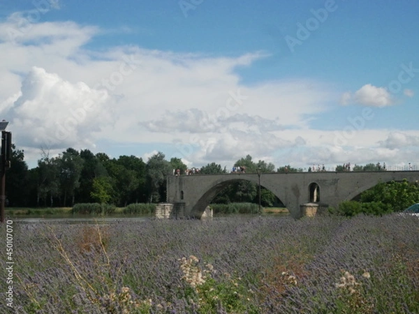 Obraz Pont d'Avignon 