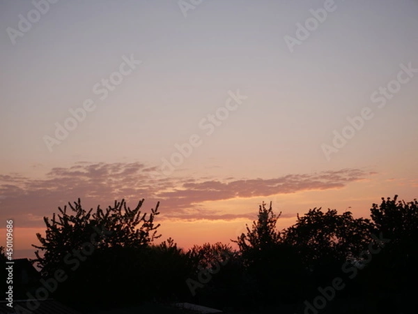 Fototapeta Coucher de soleil 