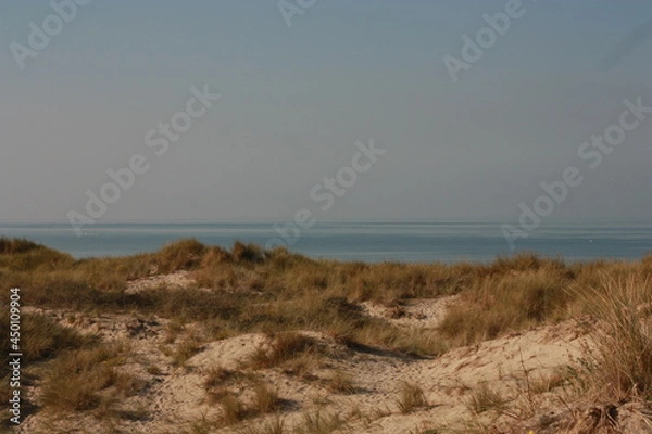 Obraz Plage du perroquet, Bray Dunes 