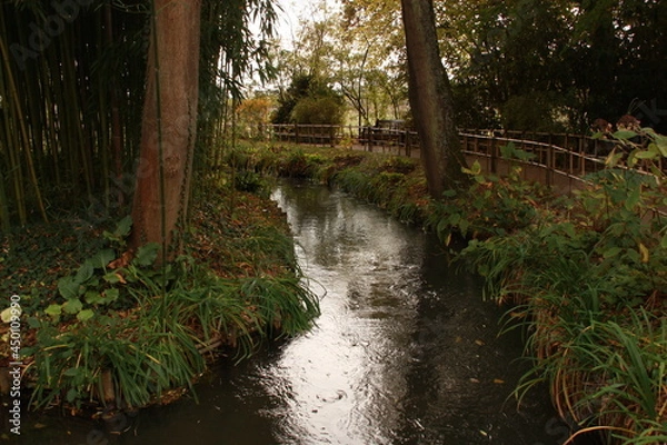 Obraz Jardin de Claude Monet 