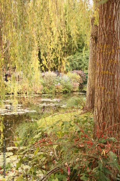 Obraz Jardin de Claude Monet 
