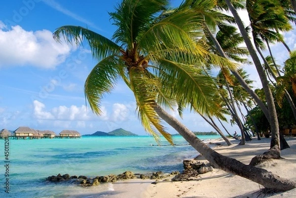 Obraz Wyspa Bora Bora