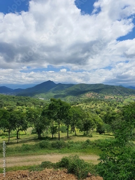 Obraz landscape with sky