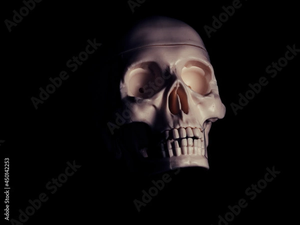Obraz Single human skull in the darkness.