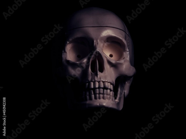 Obraz Single human skull in the darkness.
