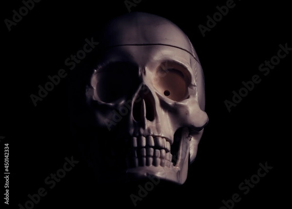 Obraz Single human skull in the darkness.